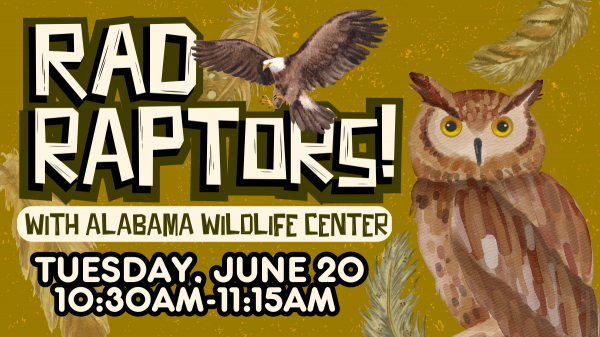 Image for event: Rad Raptors