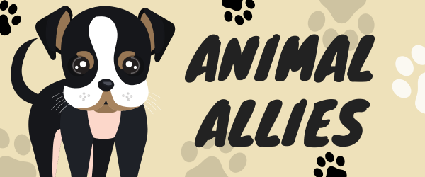 Image for event: Animal Allies