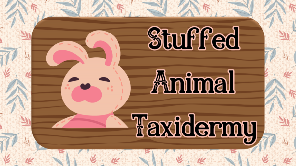 Teen Stuffed Animal Taxidermy